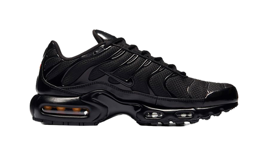 Nike Air Max Plus Triple Black vjkicks