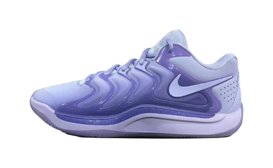 Nike KD 17 Anti-Slip Wear-Resistant Low-Top Basketball Shoes Mens Purple Blue vjkicks