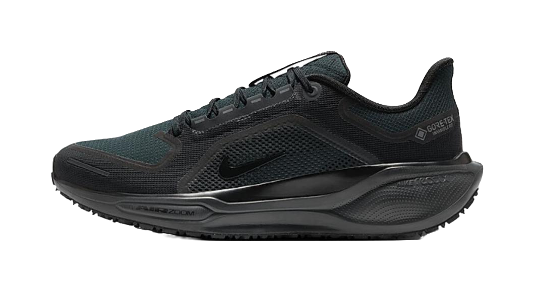 Nike Air Zoom Pegasus 41 Gore Tex Black vjkicks