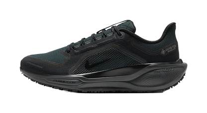 Nike Air Zoom Pegasus 41 Gore Tex Black vjkicks