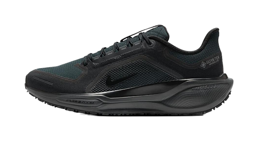 Nike Air Zoom Pegasus 41 Gore Tex Black vjkicks