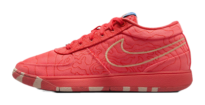 Nike Book 1 Sedona vjkicks