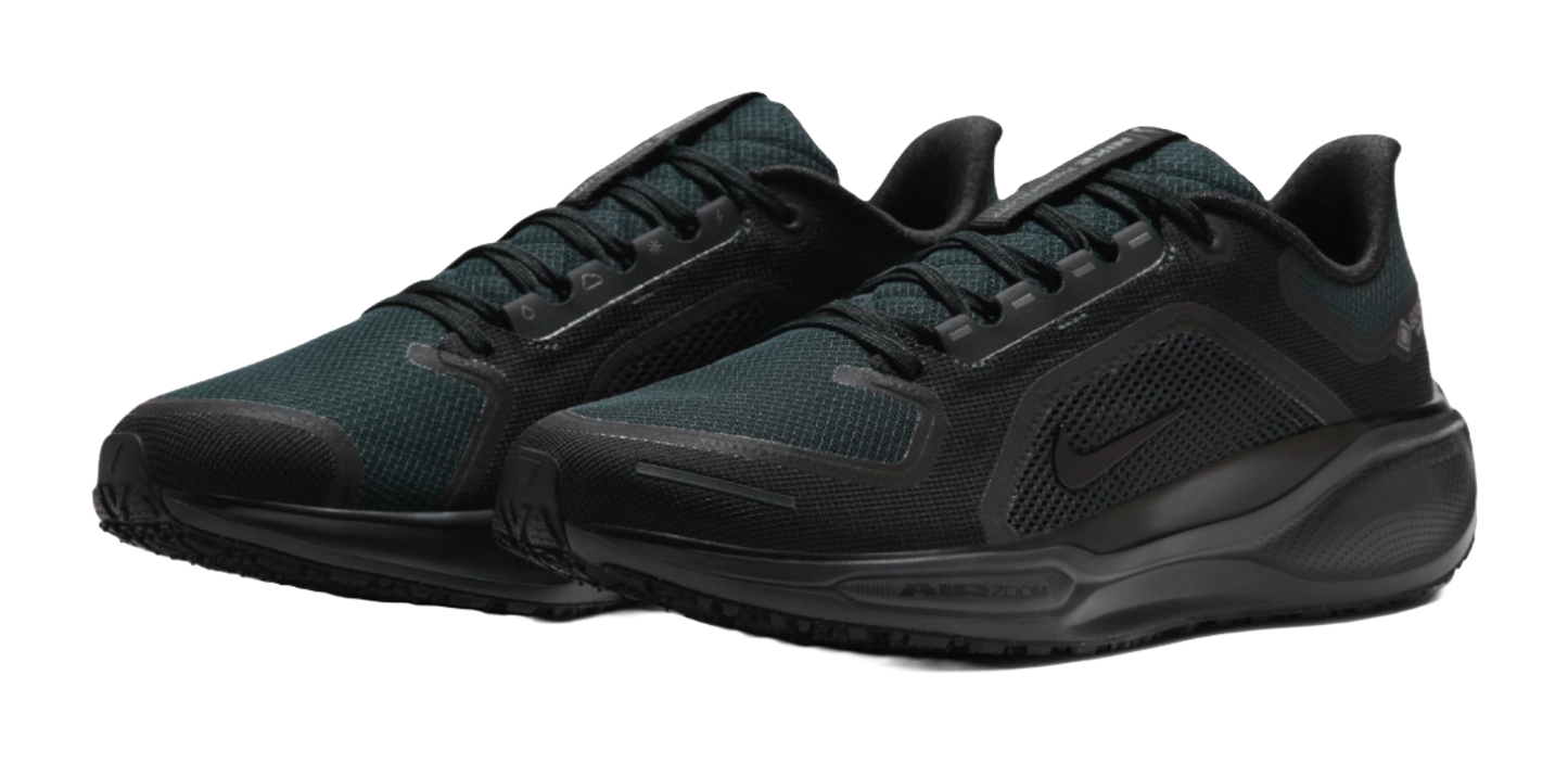 Nike Air Zoom Pegasus 41 Gore Tex Black vjkicks