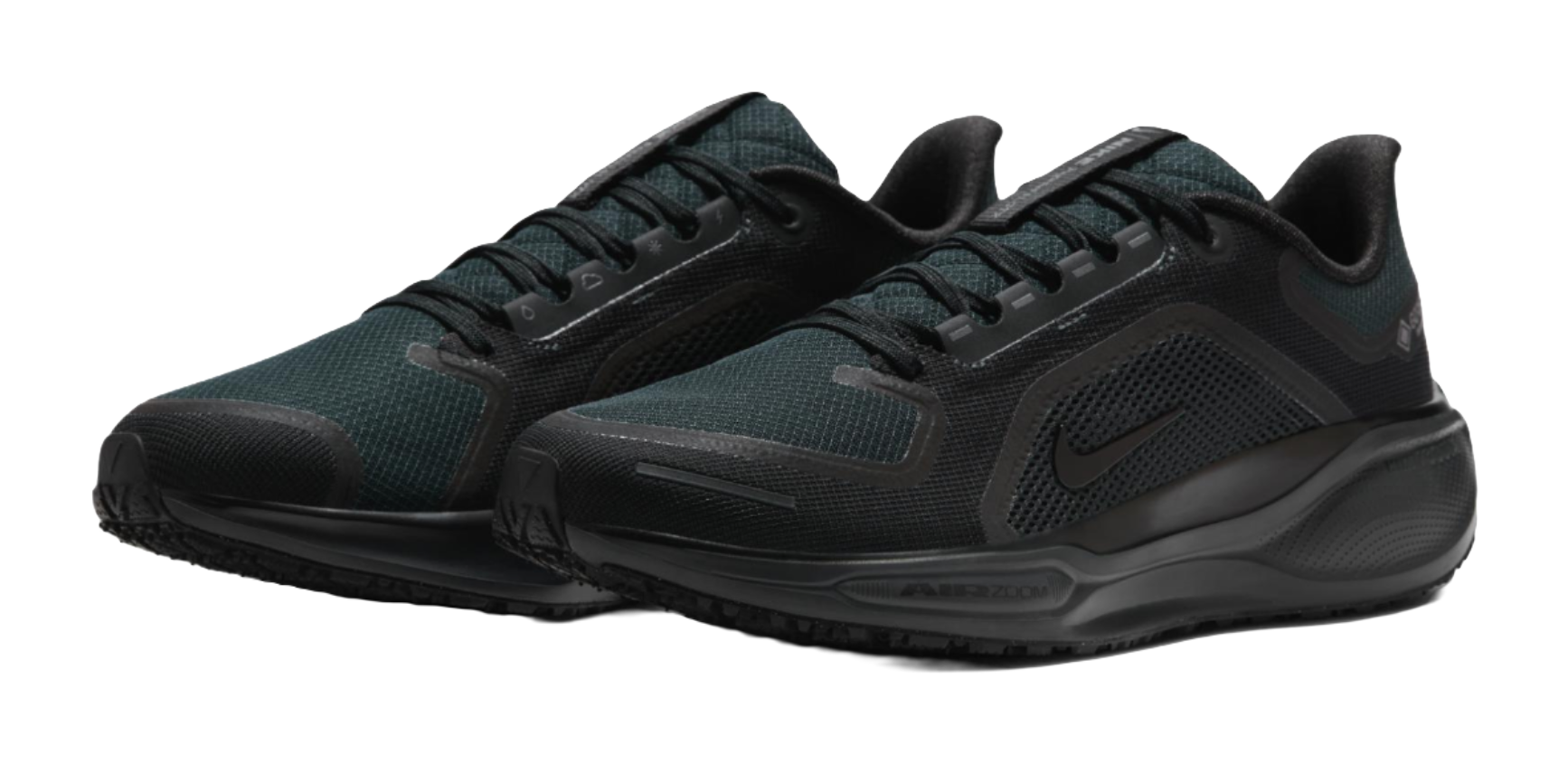 Nike Air Zoom Pegasus 41 Gore Tex Black vjkicks