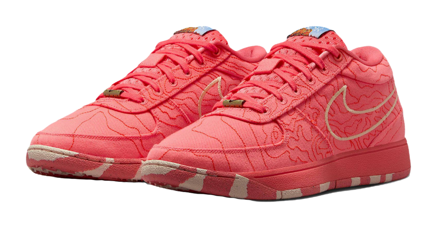 Nike Book 1 Sedona vjkicks