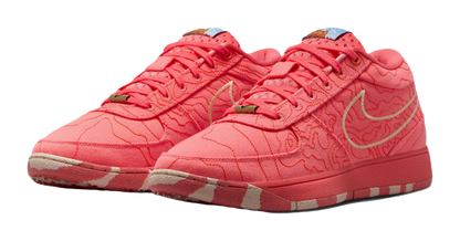 Nike Book 1 Sedona vjkicks