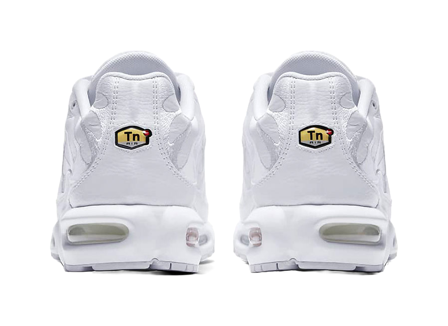 Nike Air Max Plus Triple White vjkicks