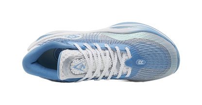 RIGORER AR1 Iceman vjkicks