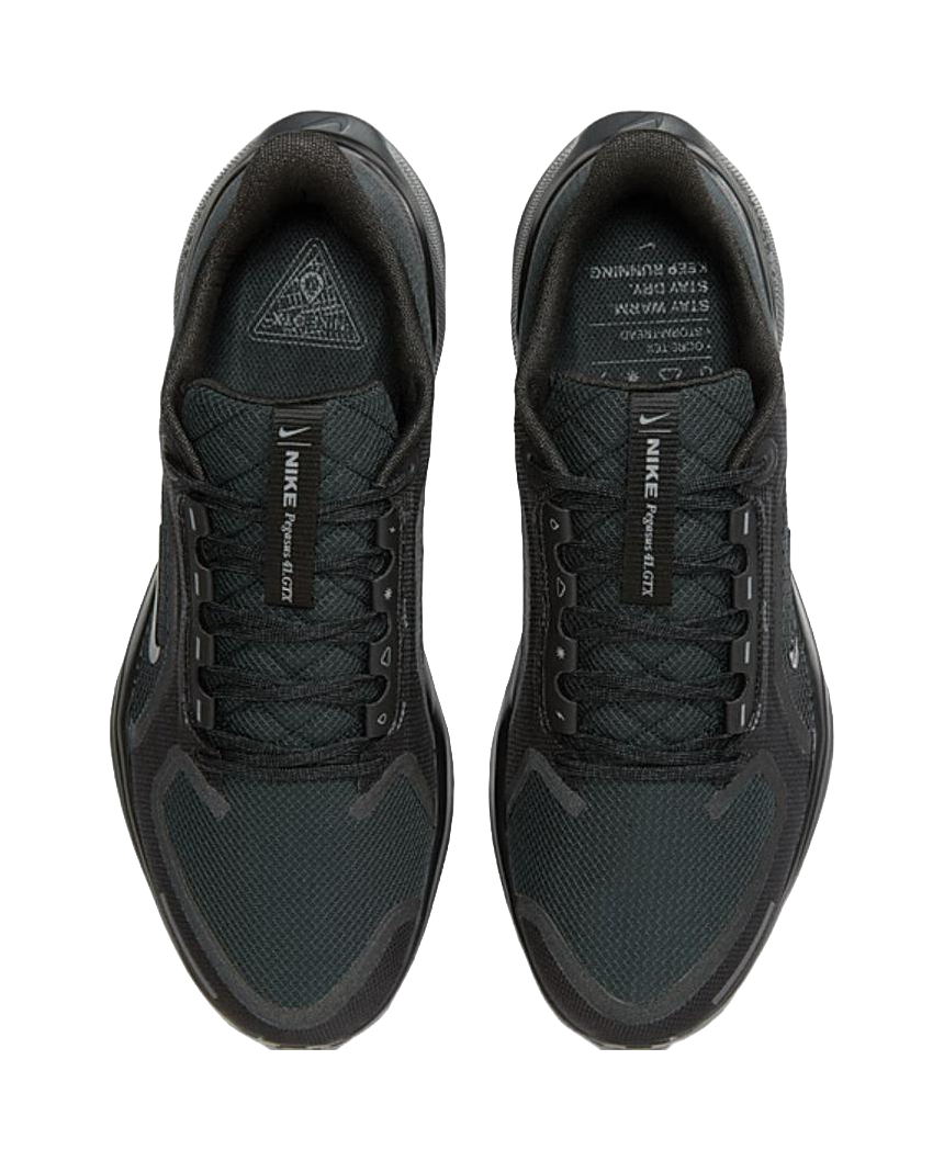 Nike Air Zoom Pegasus 41 Gore Tex Black vjkicks