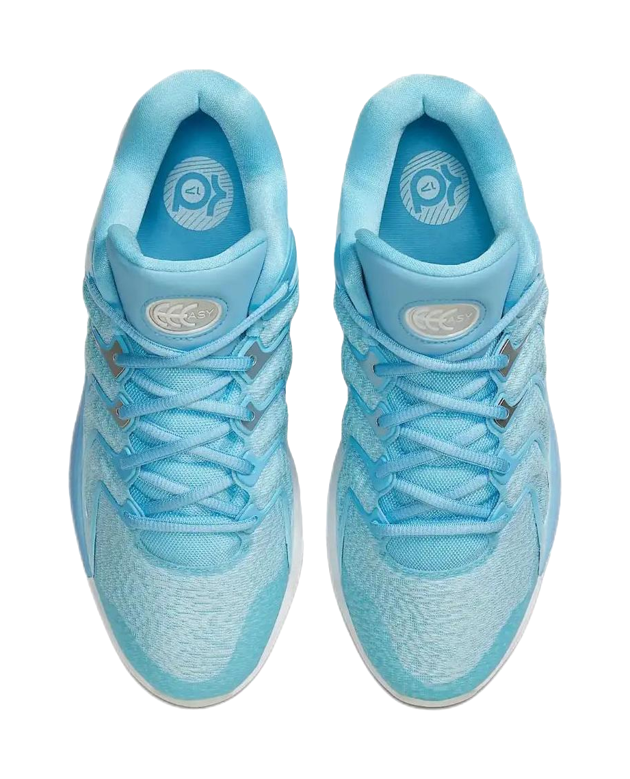 Nike KD 17 Anti-Slip Wear-Resistant Low-Top Basketball Shoes Mens Blue vjkicks
