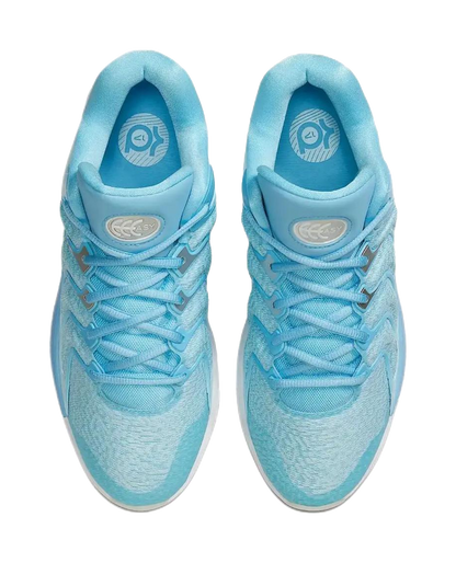 Nike KD 17 Anti-Slip Wear-Resistant Low-Top Basketball Shoes Mens Blue vjkicks