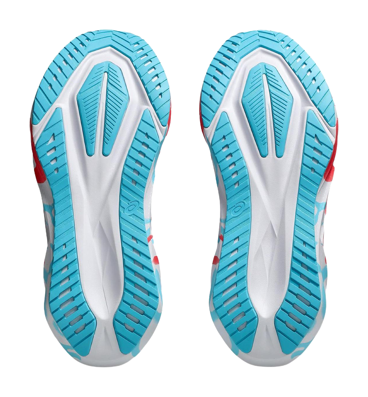 ASICS Novablast 5 Tokyo Marathon vjkicks