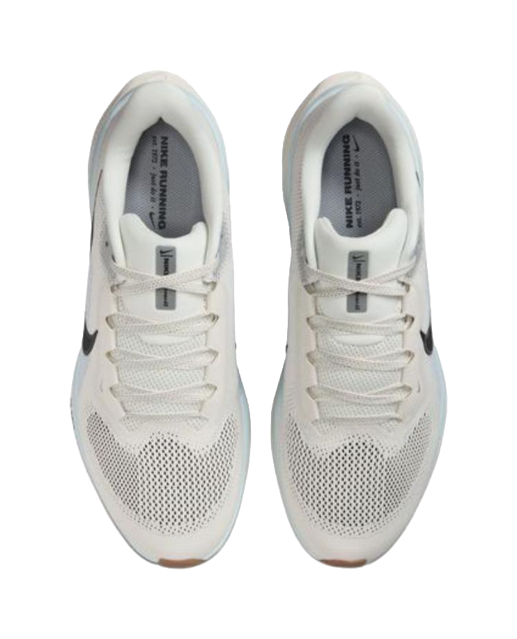 Nike Air Zoom Pegasus 41 Sail Blue Tint Wolf Grey Anthracite vjkicks