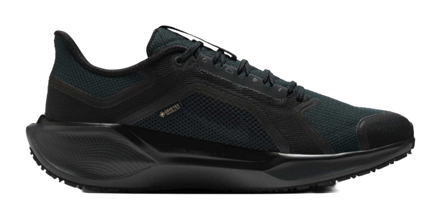 Nike Air Zoom Pegasus 41 Gore Tex Black vjkicks