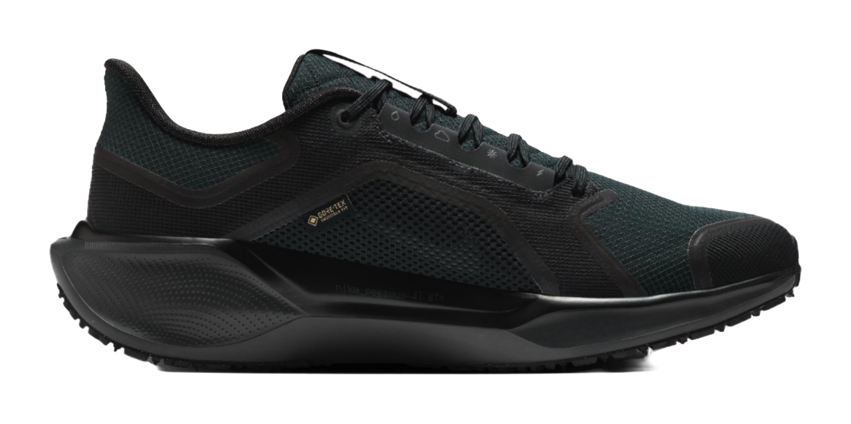 Nike Air Zoom Pegasus 41 Gore Tex Black vjkicks