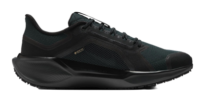 Nike Air Zoom Pegasus 41 Gore Tex Black vjkicks