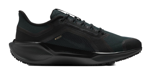 Nike Air Zoom Pegasus 41 Gore Tex Black vjkicks