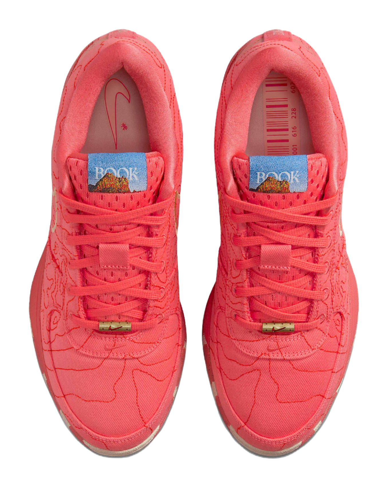 Nike Book 1 Sedona vjkicks