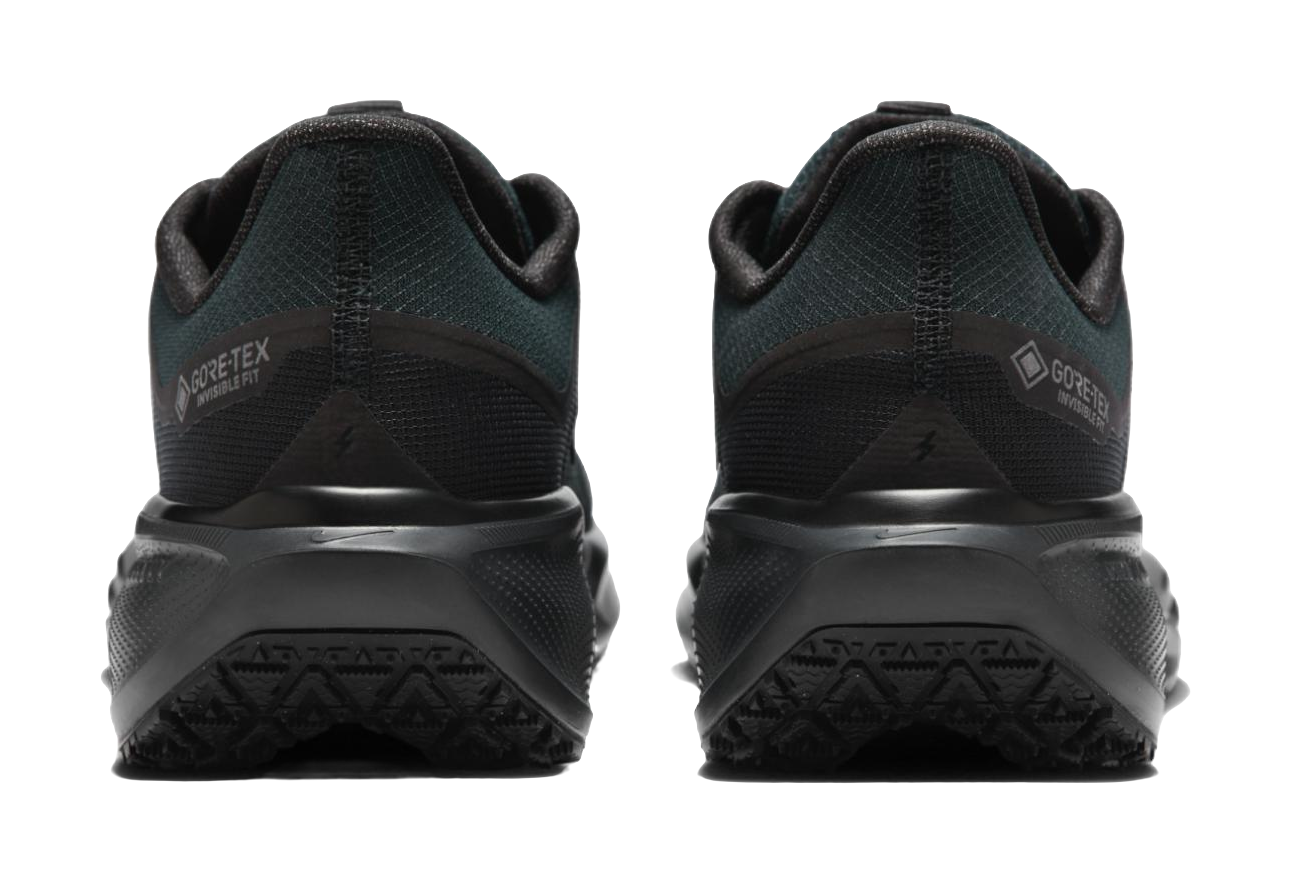 Nike Air Zoom Pegasus 41 Gore Tex Black vjkicks