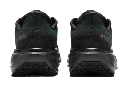 Nike Air Zoom Pegasus 41 Gore Tex Black vjkicks