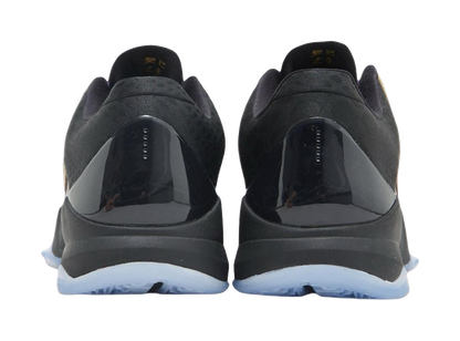 Nike Kobe 5 Protro Year Of The Mamba Eggplant vjkicks